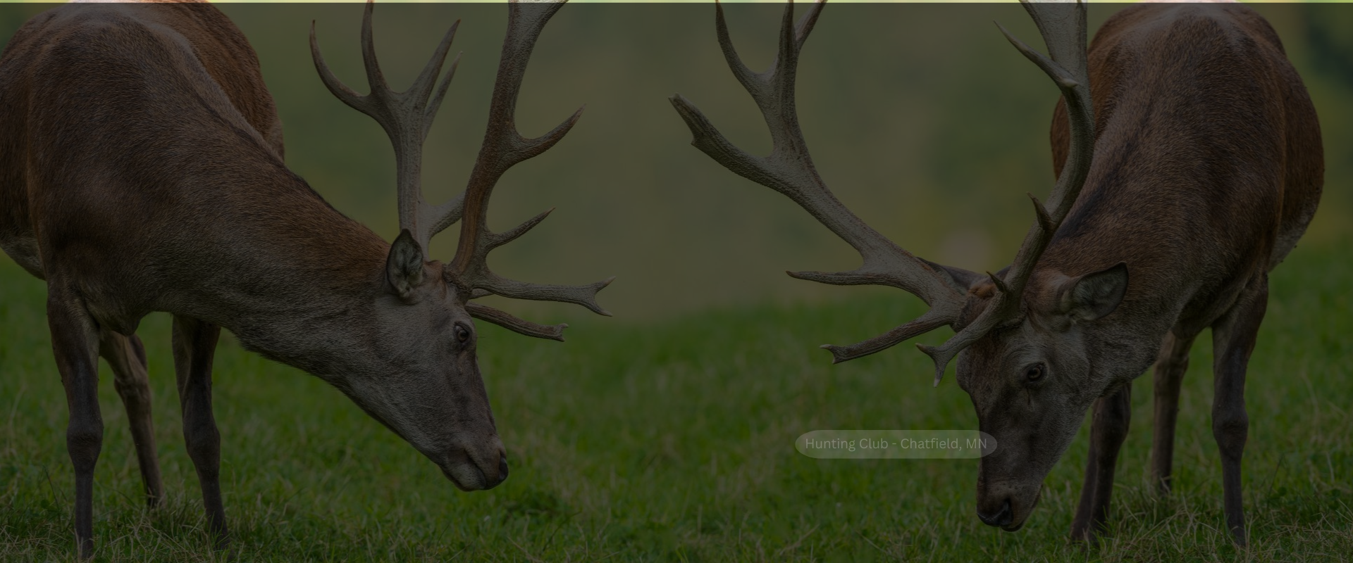 Conversion Rate Optimization Client