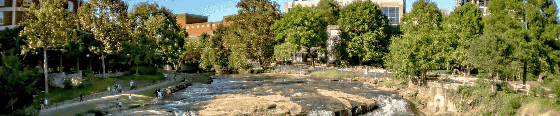 Greenville Digital Marketing Services